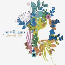 Joy Williams, Charmed Life (Remixes) EP