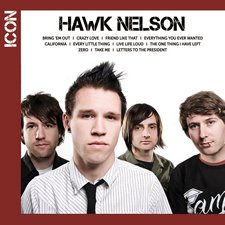 Hawk Nelson, Icon