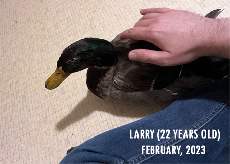 Larry at 22 years old, a month or two before passing away