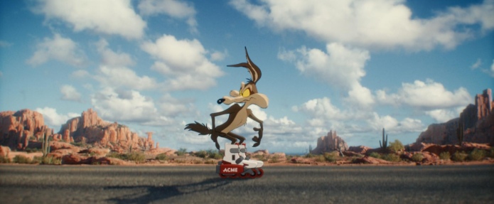 Coyote vs ACME