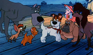 Oliver & Company